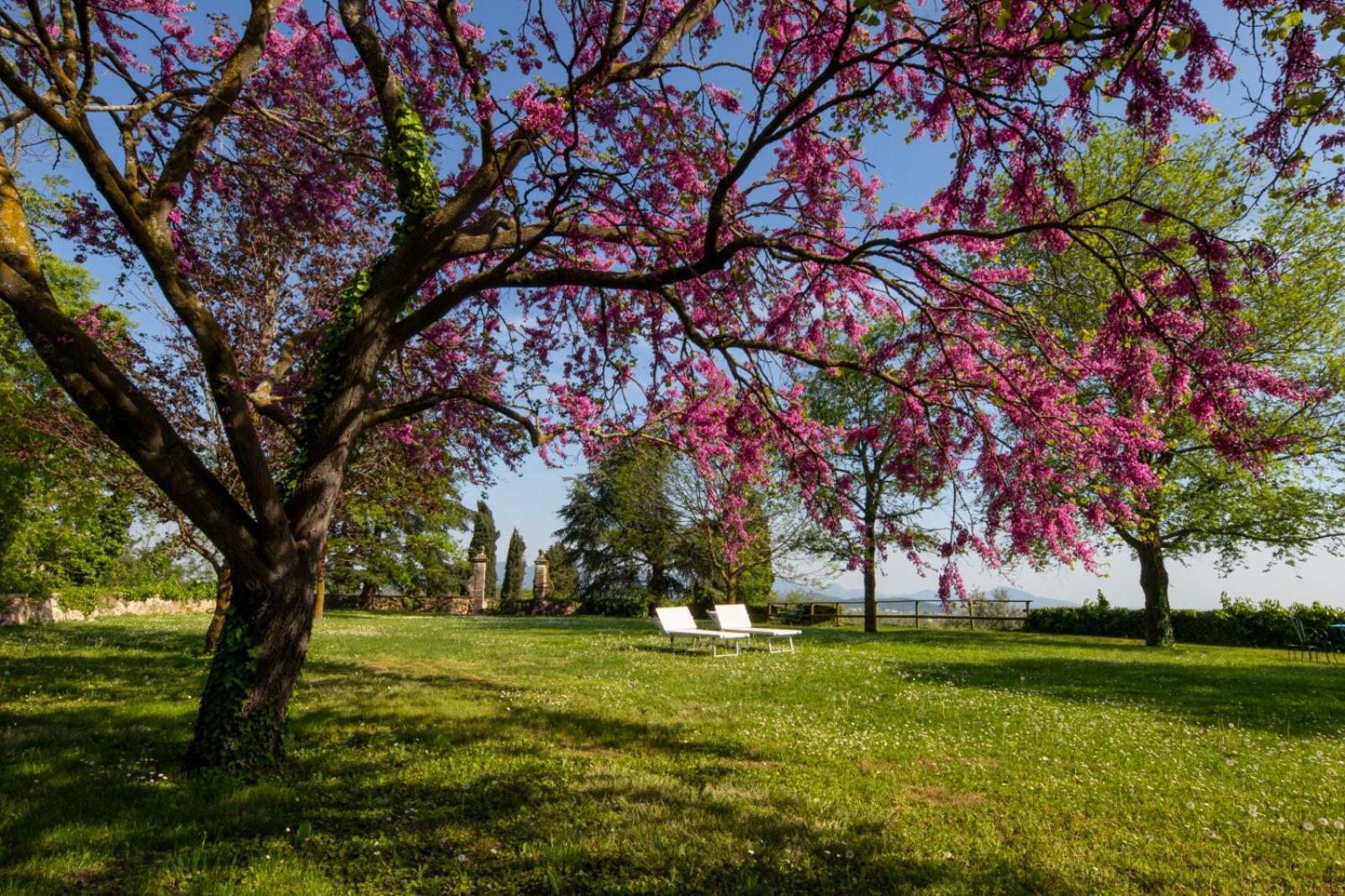 Вилла Il Castello Barbarano Vicentino Экстерьер фото